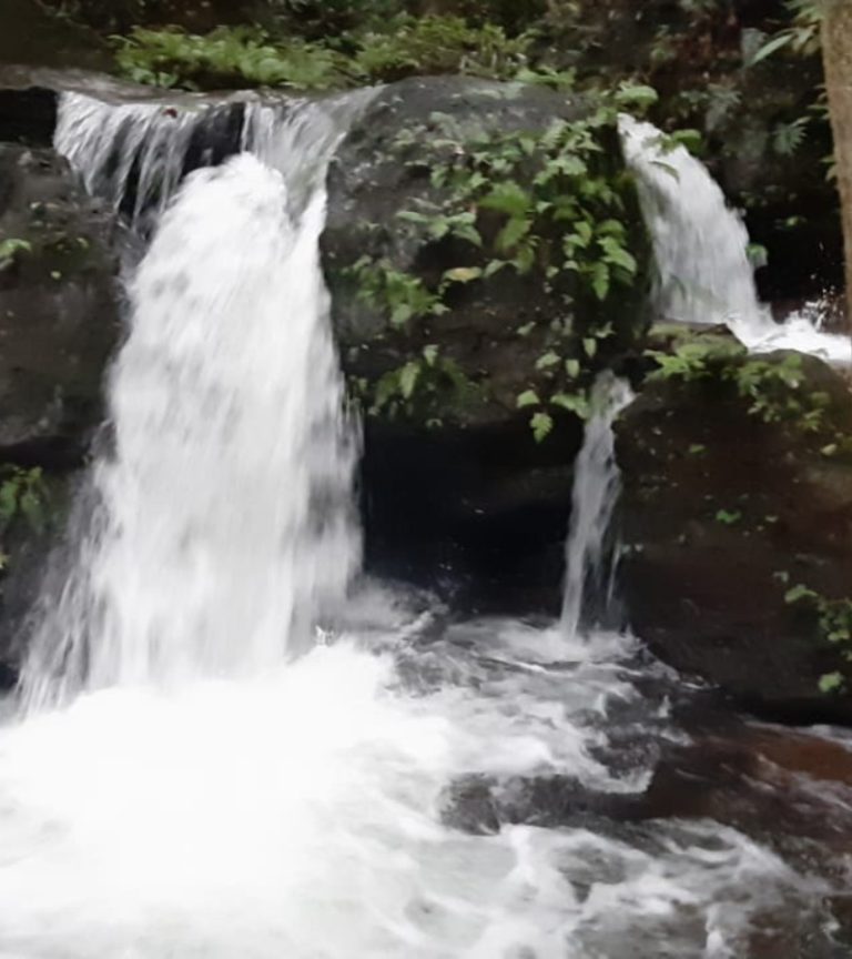 Waterfall Trek